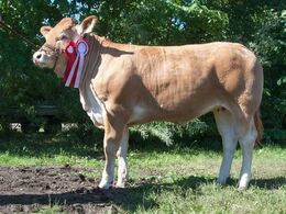 1643 - Sundsig Mulle – fra Amalie og Kenn Thygesen, Janderup