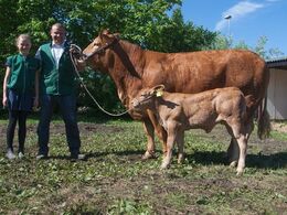 1681 – Lindegården Kitty – fra AP Kragh Madsen, Randers SV