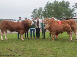 2017 – Bedste hundyr og bedste handyr – fra Tommy Jessing, Brørup