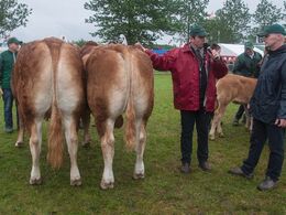 2017 – Bedste par – fra Tommy Jessing, Brørup