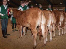 Ny Toftum Olivia (tv), ærespræmie