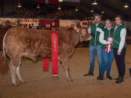 Bøgely Nynne, ærespræmie og bedste yngre kvie