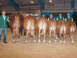 Lindegaarden Limousine bedste besætningsgruppe