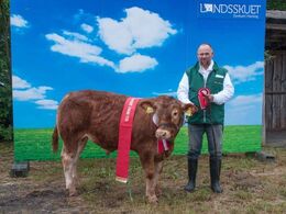 Elmely Opera PP – bedste yngre tyr – fra Allan Lorentzen, Gesten