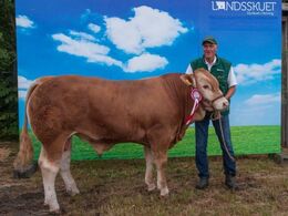 Engtoftegård Osvald – fra Anders Lange, Mørke