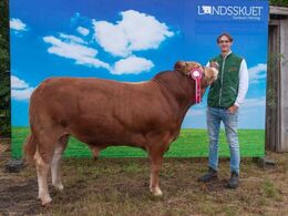 Vesterenge Osman ET – fra Ole Ebbesen, Ribe