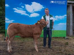 Grunnet Paprika P – fra Søren Grunnet, Billund