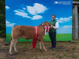 Gandrup Olympia – bedste yngre kvie – fra Michelle Høyer & Simon Smidt, Ferritslev Fyn