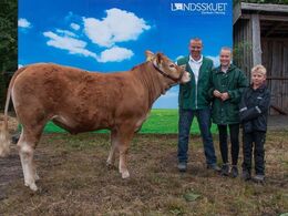 Lindegården Otello – fra Allan og Peter Kragh Madsen, Randers SV