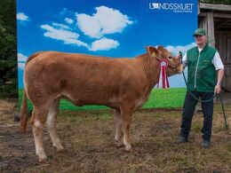 Vejlmose Odette – fra Jan Peter Jensen, Gjern