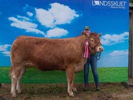 Damgaard Nanna – fra Karsten Laursen, Juelsminde