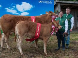 Gandrup Malou – bedste ko under 3 år – fra Michelle Høyer & Simon Smidt, Ferritslev Fyn