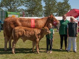 Juliene – bedste ko 3-5 år – fra Nina og Lars Kloster, Langå