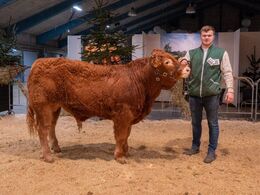 kat235 – Birkely Soprano – bedste yngre tyr, bedste tyr – fra Michelle Høyer & Simon Schmidt, Ferritslev Fyn