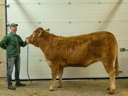 kat273 – Karensminde Rosemynde – fra Søren Hedegaard Jensen, Ansager