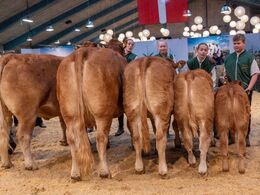 Bedste besætningsgruppe – fra Eg’s Limousine, Karby