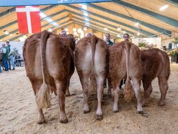 Næstbedste besætningsgruppe – fra A. P. Kragh Madsen, Randers