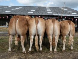 Bedste region – fra Region Syd