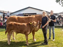 Vinding Otelia P – fra Jens Thaysen, Østbirk