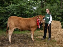 Egs Tricia – fra Egs Limousine, Karby