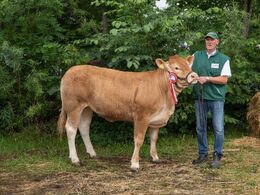 Engtoftegård Tilde – fra Anders Lange, Mørke