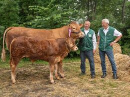 Pavlova - fra Allan og Peter Kragh Madsen, Randers SV