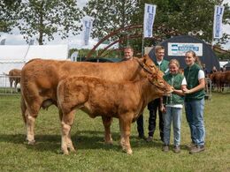 Juliene – bedste hundyr, bedste limousine – fra Fam. Kloster, Langå