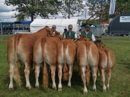 Bedste besætningsgruppe – fra Kristen Thomsen, Bjergby