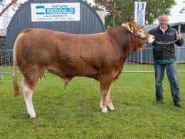 01 – kat1640 – Lindegaarden Uno – fra Lindegården Limousine, A.P. Kragh Madsen, Randers SV