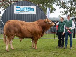 03 – kat1644 – Ingersminde Tempo – fra Per Lynge Laursen, Arden