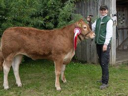 06 – kat1661 – Bøgely Ulva, fra Bøgely Limousine, Tommy Jessing, Brørup