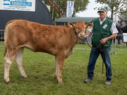 08 – kat1681 – Engtoftegård Uma – fra Anders Lange, Mørke