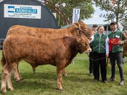 14 – kat1714 – Bøgely Ronja – bedste ko 3-5 år, bedste hundyr – fra Bøgely Limousine, Tommy Jessing, Brørup