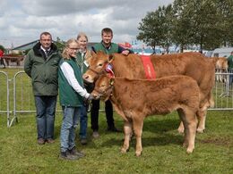 15 – kat1719 – Vinding Otelia P – bedste ældre ko, fra Jens Thaysen, Østbirk