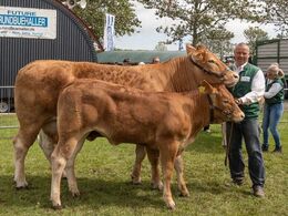16 – kat1720 – Lindegaarden Otello – fra Lindegården Limousine, A.P. Kragh Madsen, Randers SV