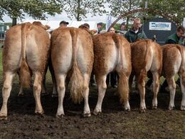 17 – katxxxx – Bedste besætningsgruppe – fra Bøgely Limousine, Tommy Jessing, Brørup