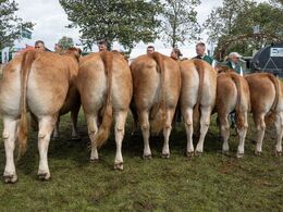 18 – katxxxx – 2. bedste besætningsgruppe - fra Per Lynge Laursen, Arden