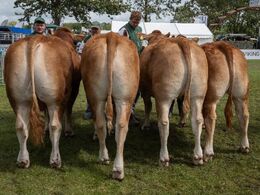 19 – katxxxx – 3. bedste besætningsgruppe – fra Skovlund Limousine, Søren Paulsen, Toftlund