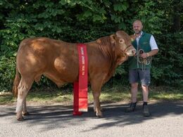 kat1579 – Randers San Di Ego – bedste yngre tyr – fra Freddie L. Christiansen, Randers