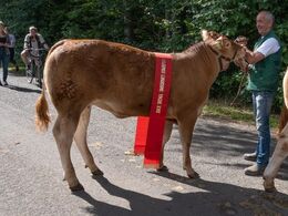 kat1589 – Karensminde Smukke – bedste yngre kvie – fra Søren Hedegaard Jensen, Ansager