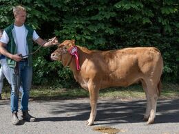 kat1594 – Engvang Sofia – fra Mads Simonsen, Rønde