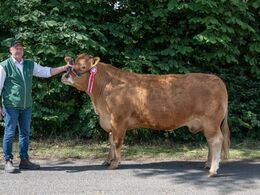 kat1642 – Borre Nastasia – fra Amalie og Kenn Thygesen, Janderup Vestj