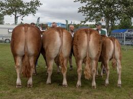 Bedste besætningsgruppe – fra Mathias Nymann Olsen, Haarby