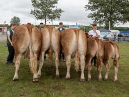 Andenbedste besætningsgruppe – fra Tommy Jessing, Brørup