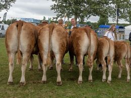 Tredjebedste besætningsgruppe – fra Peter og Allan Kragh Madsen, Randers