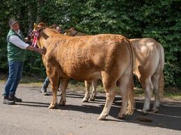 Bedste par – fra Amalie og Kenn Thygesen, Janderup Vestj