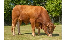 VB Urex P KØBES HOS VIKING