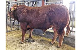 Grønbjerg P Maximum KØBES HOS VIKING