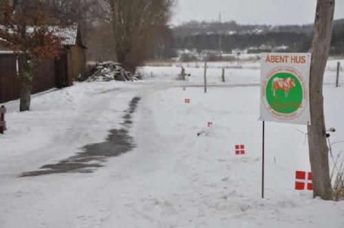 13. februar - Åbent hus hos Limousinerne, igen en kold vinterdag. I alt 30 gæster havde fundet vej til besætningen hos Thomas Holst