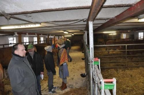 6. februar - Besøgende i stalden hos Solvejg og Peter Holst, hvor der dagen igennem var omtrent 150 besøgende